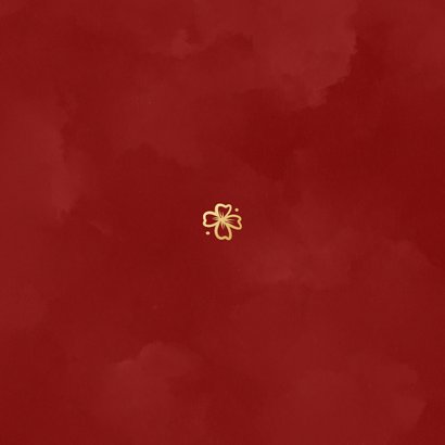 Geboortekaartje met chinese draak rood Achterkant