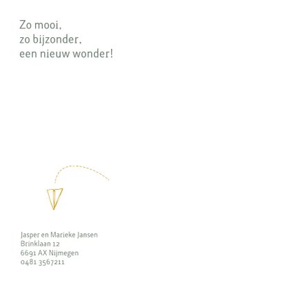 Geboortekaartje met een gevouwen vliegtuigje van papier 2