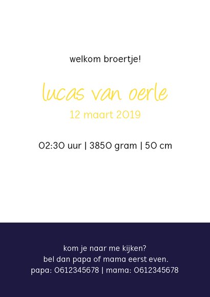 Geboortekaartje met een goudgele leeuw 3