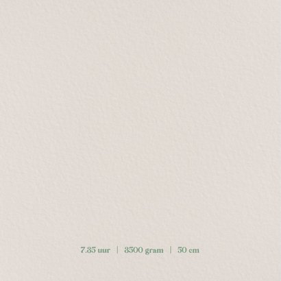 Geboortekaartje met een lief aapje 2