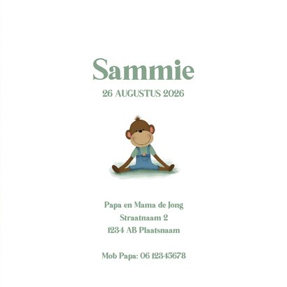 Geboortekaartje met een lief aapje 3