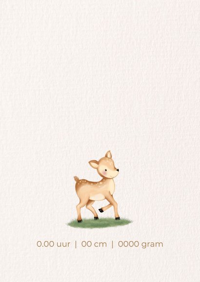 Geboortekaartje met een lief hertje in het gras 2