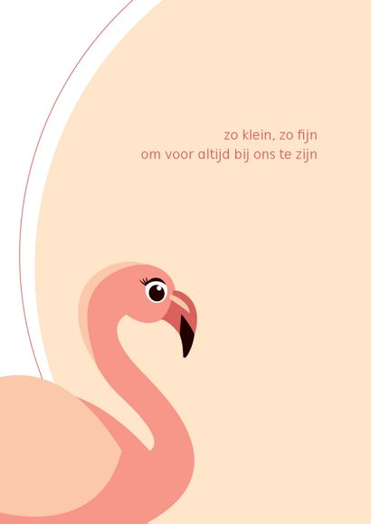 Geboortekaartje met elegante lieve flamingo 2