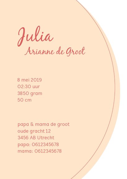 Geboortekaartje met elegante lieve flamingo 3