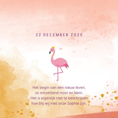 Geboortekaartje met flamingo illustratie en waterverf 2