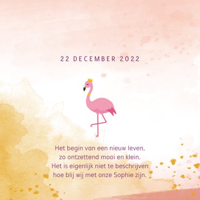 Geboortekaartje met flamingo illustratie en waterverf 2