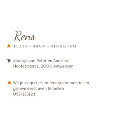 Geboortekaartje met geometrische vos 3