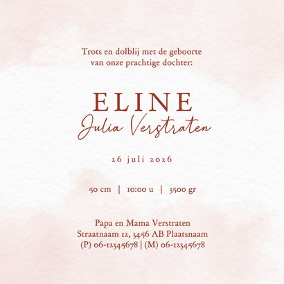 Geboortekaartje met illustratie giraf en kinderwagen 3