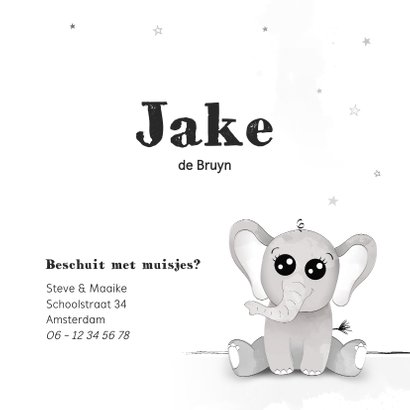 Geboortekaartje met illustratie van een baby olifant 3