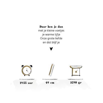 Geboortekaartje met illustratie van een leeuwtje 2