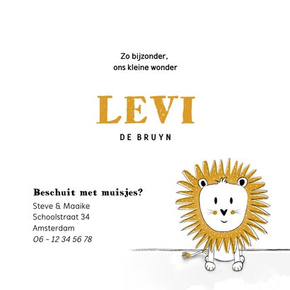 Geboortekaartje met illustratie van een leeuwtje  3