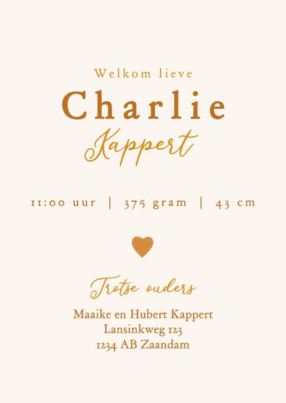 Geboortekaartje met lief dromend beertje 3