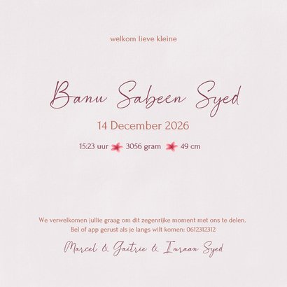 Geboortekaartje met liefdevolle familie eendjes illustratie 3