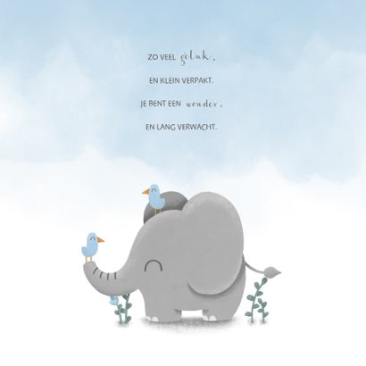 Geboortekaartje met lieve olifant, vogeltjes en waterverf 2