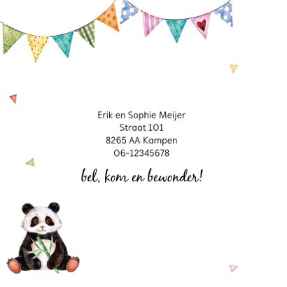 Geboortekaartje met lieve panda 2