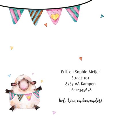 Geboortekaartje met lieve schaapje 2
