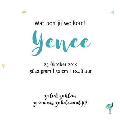 Geboortekaartje met lieve schaapje 3