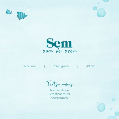 Geboortekaartje met lieve schildpad 3