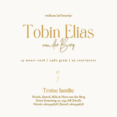 Geboortekaartje met lijntekening broertje met zussen goud 3