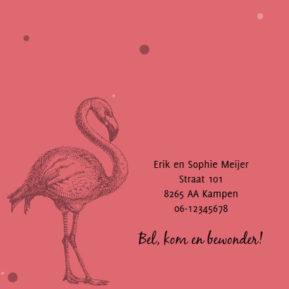Geboortekaartje met mooie flamingo 2