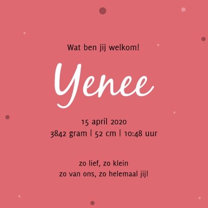 Geboortekaartje met mooie flamingo 3