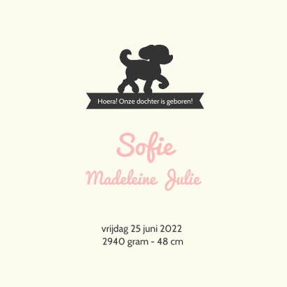 Geboortekaartje met silhouet van meisje en hondje 3