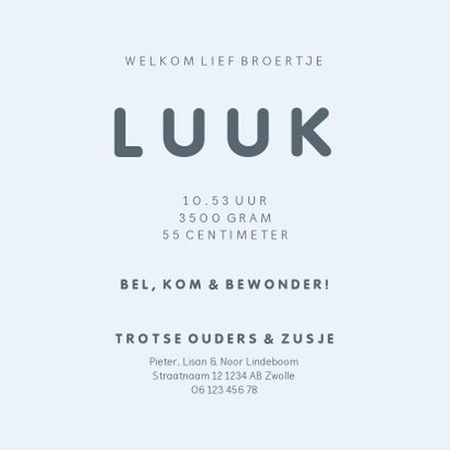 Geboortekaartje met simpel lief blauw uiltje en broer/zus 3