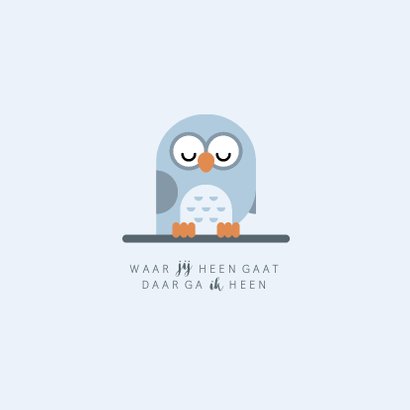 Geboortekaartje met simpel lief blauw uiltje 2