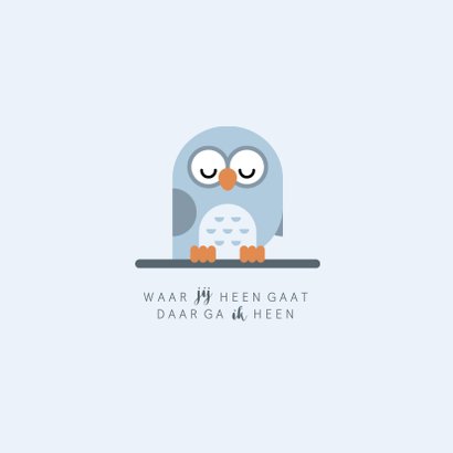 Geboortekaartje met simpel lief blauw uiltje 2