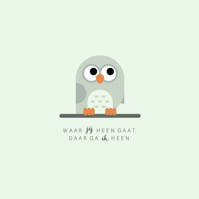 Geboortekaartje met simpel lief mintgroen uiltje 2