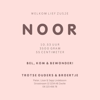 Geboortekaartje met simpel lief roze uiltje en broer/zus 3