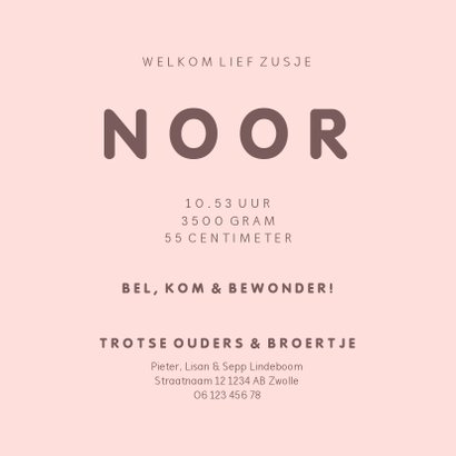 Geboortekaartje met simpel lief roze uiltje en broer/zus 3
