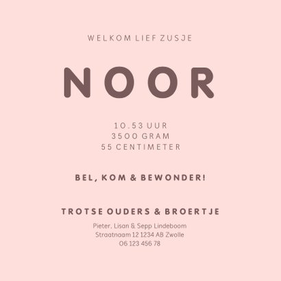 Geboortekaartje met simpel lief roze uiltje en broer/zus 3