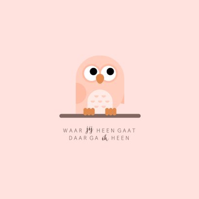 Geboortekaartje met simpel lief zalmkleurig uiltje 2