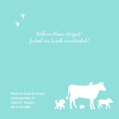 Geboortekaartje met tractor voor een broertje 2