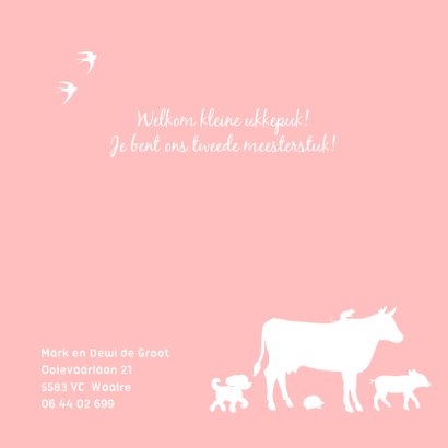 Geboortekaartje met tractor voor een zusje 2