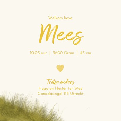 Geboortekaartje met vosjes in het bos liggend in het gras 3