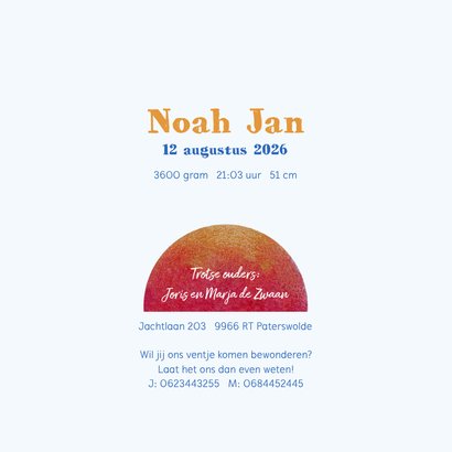 Geboortekaartje met zwaan voor een jongen 3