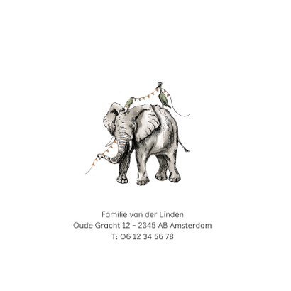 Geboortekaartje olifant waterverf vlaggen kraanvogel 2