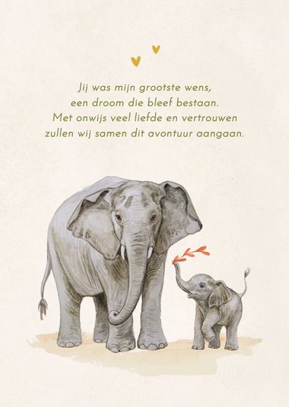 Geboortekaartje olifantje jungle kleurrijk vrolijk kader 2