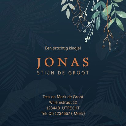 Geboortekaartje olifantje met takjes 3