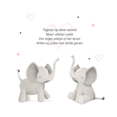Geboortekaartje olifantjes tweeling hartjes foto roze 2