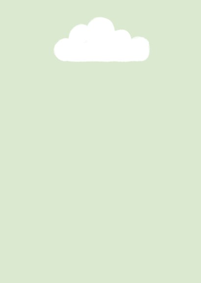 Geboortekaartje ooievaar met bloemenrand Achterkant