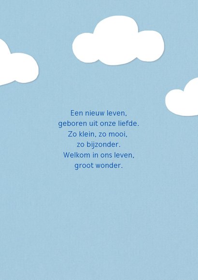 Geboortekaartje ooievaar met jongen 2