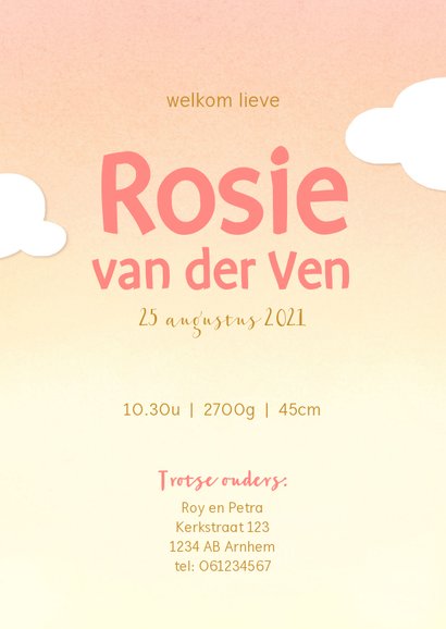 Geboortekaartje ooievaar met meisje 3
