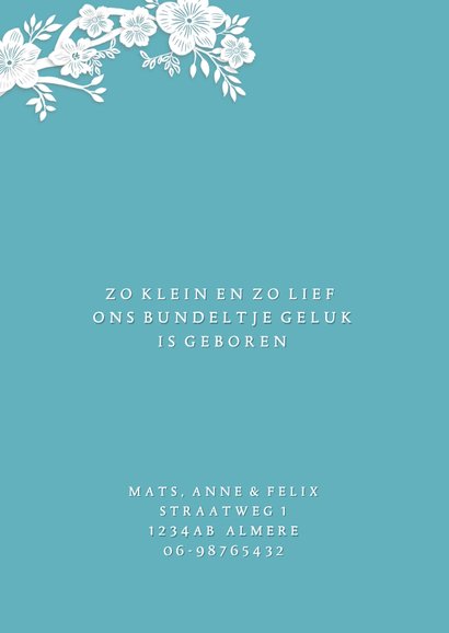 Geboortekaartje ooievaar nest bloesem lief broertje zusje  2