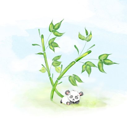 Geboortekaartje panda met bamboe 2