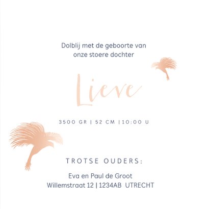 Geboortekaartje paradijsvogel met rose look 3