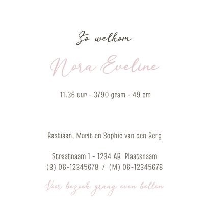 Geboortekaartje pentekening baby met grote zus in kleur 3