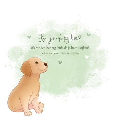 Geboortekaartje puppy groene achtegrond met hartjes vlinder 2